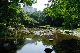 image0142