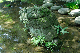 image0144