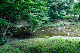 image0145