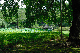 image0150
