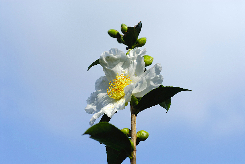 image0103