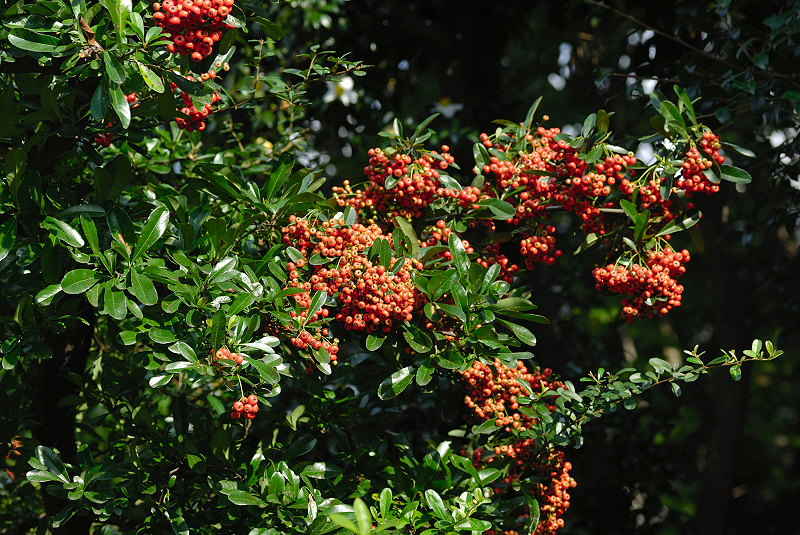 image0112