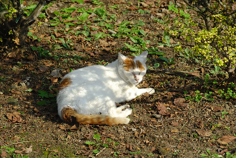 image0113