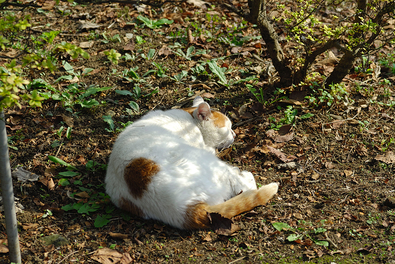 image0114