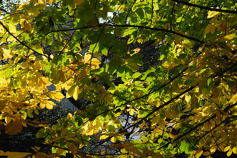 image0128