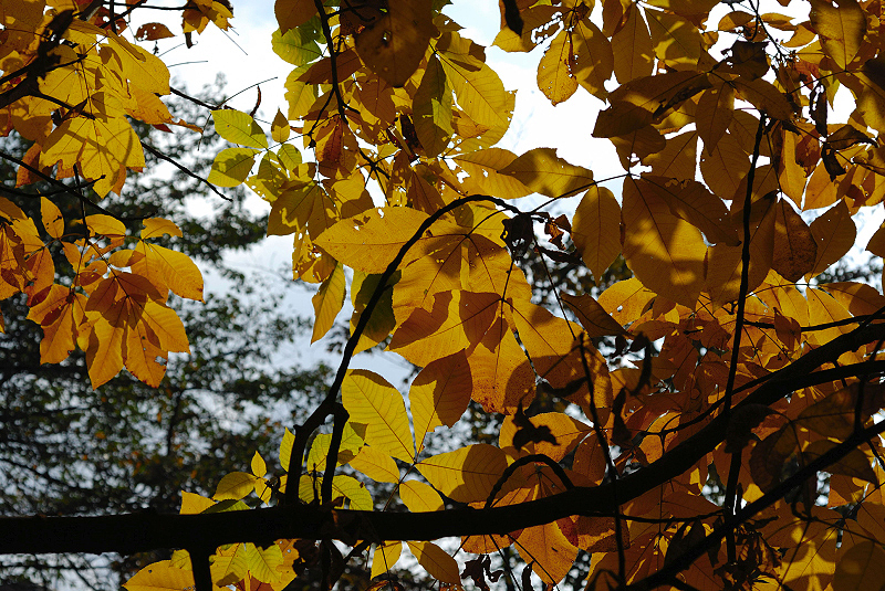 image0130