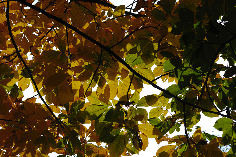 image0131