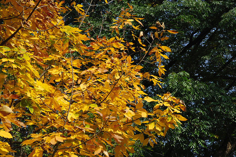 image0135