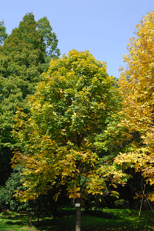 image0138
