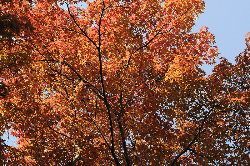 image0126