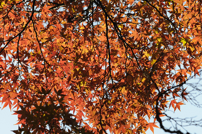 image0134