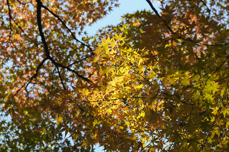 image0143