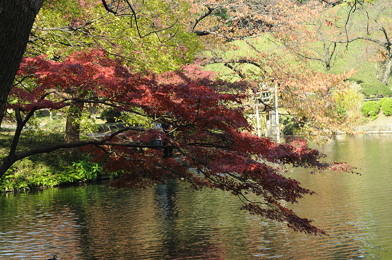 image0157