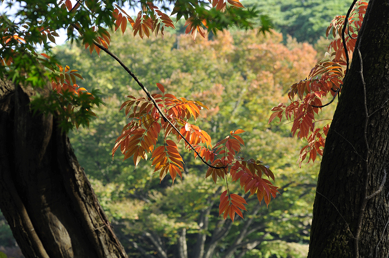 image0159