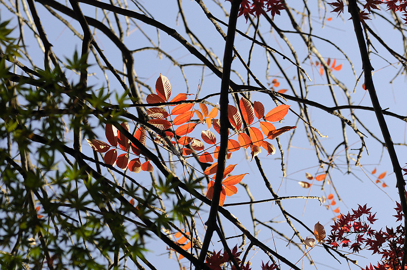 image0162