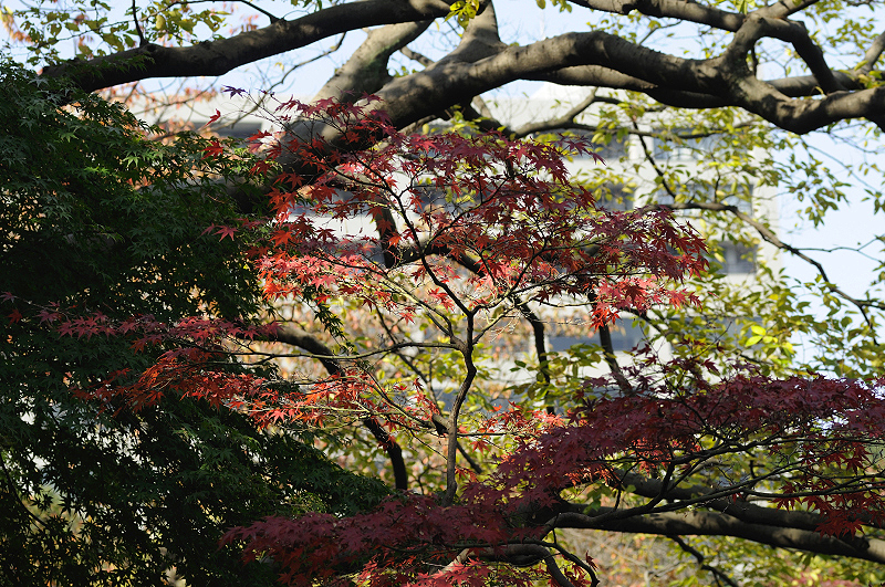 image0171