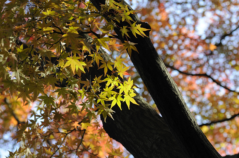 image0174