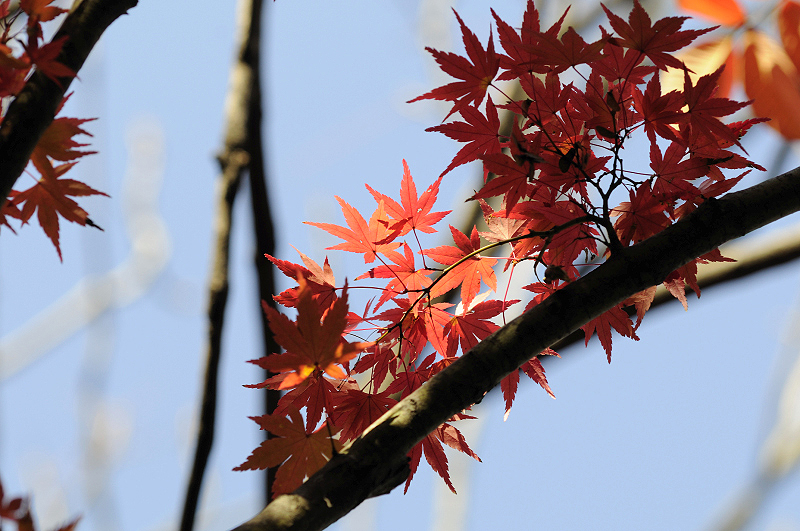 image0178