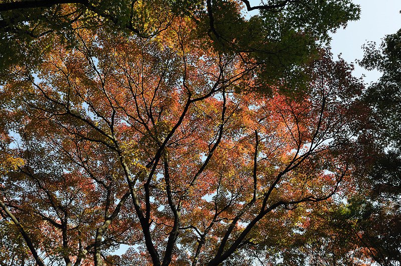 image0196