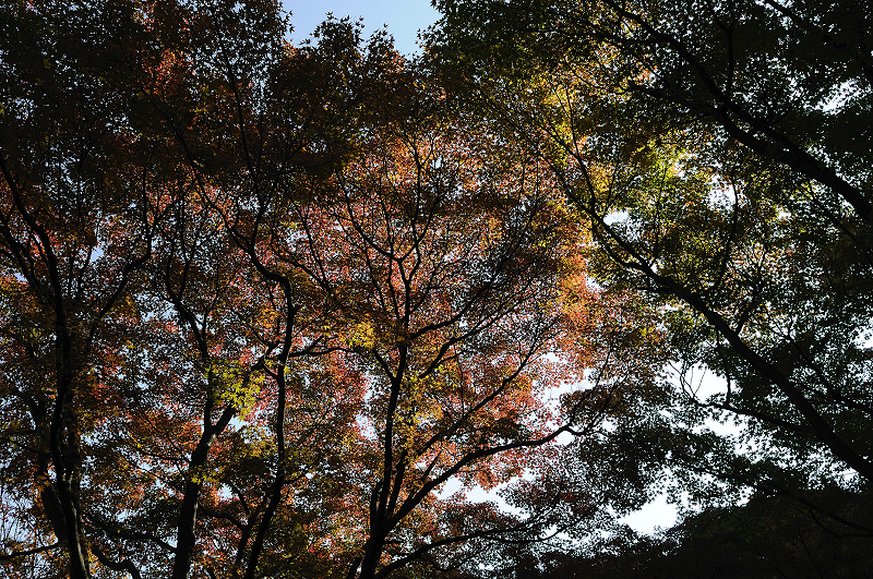 image0197