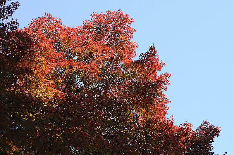 image0200