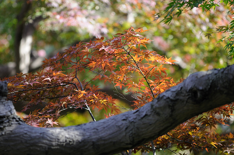 image0202