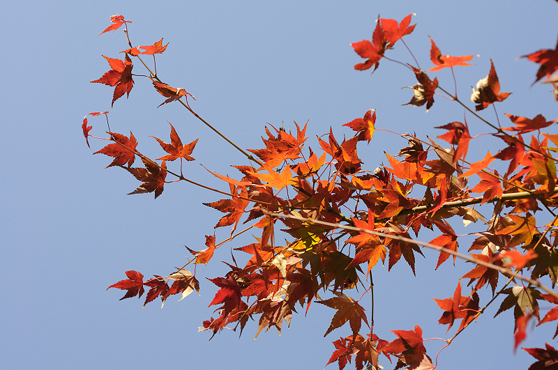 image0211