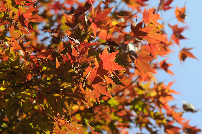 image0214