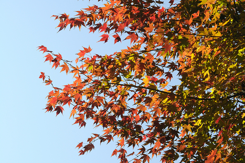 image0222