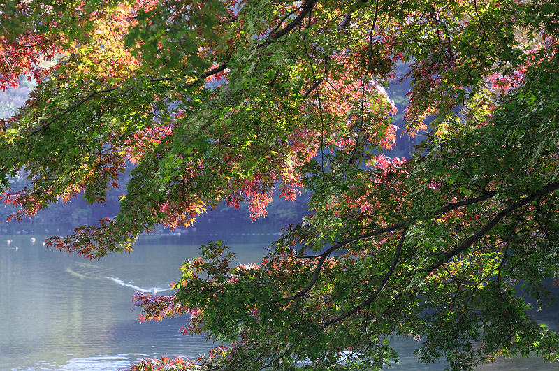 image0224