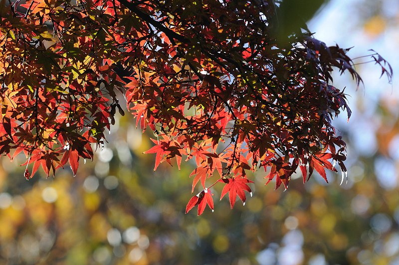 image0228