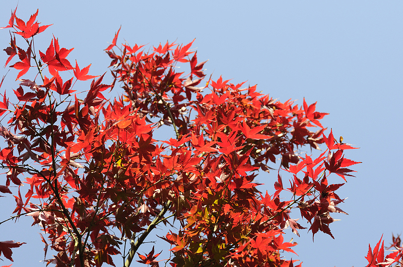 image0234
