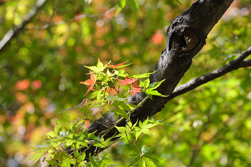 image0236