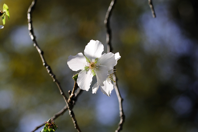 image0237