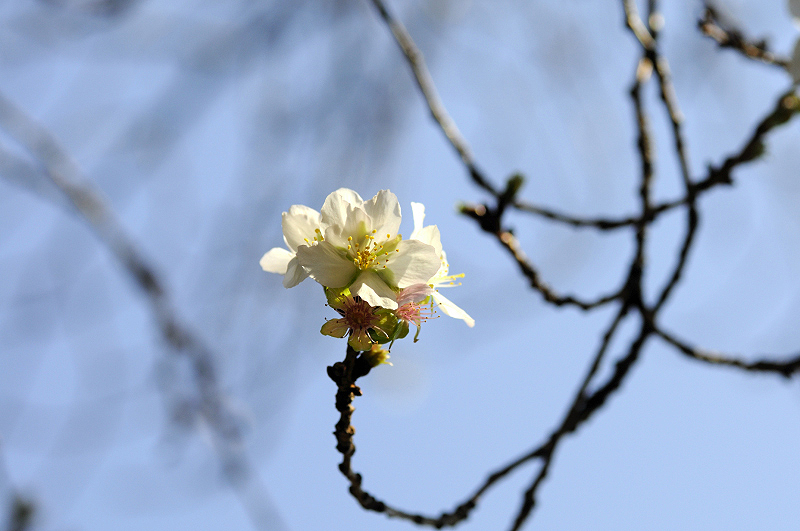 image0241