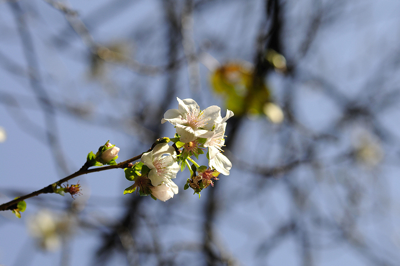 image0243