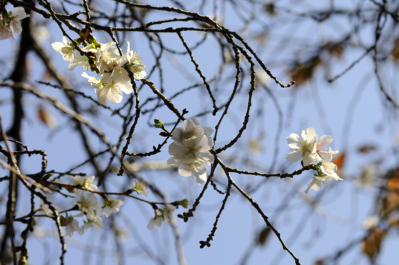 image0244