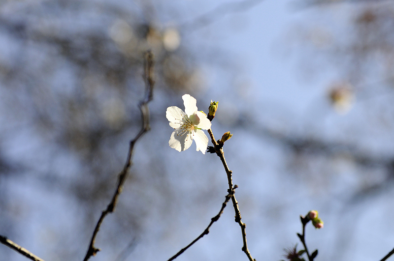 image0246