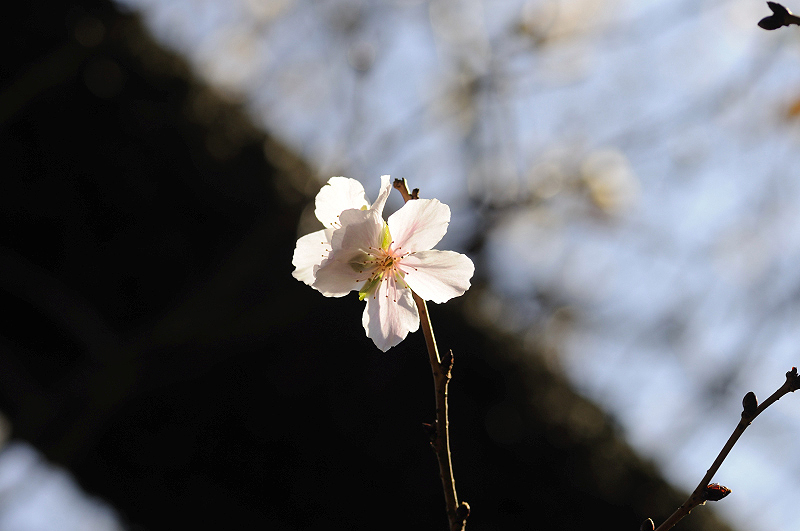 image0248