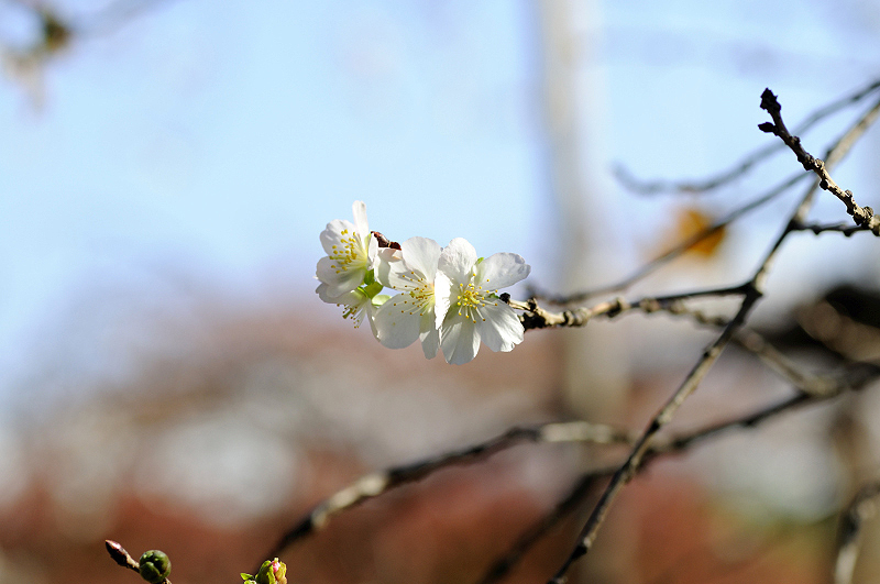 image0249