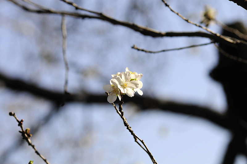 image0250