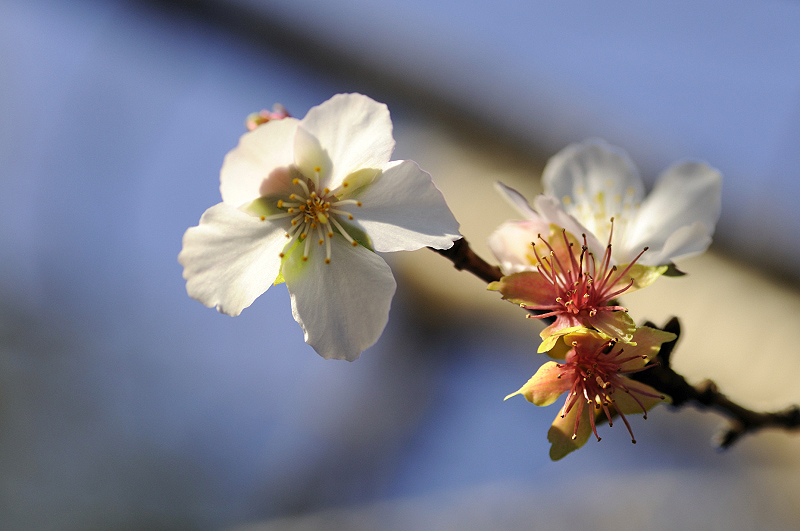 image0252
