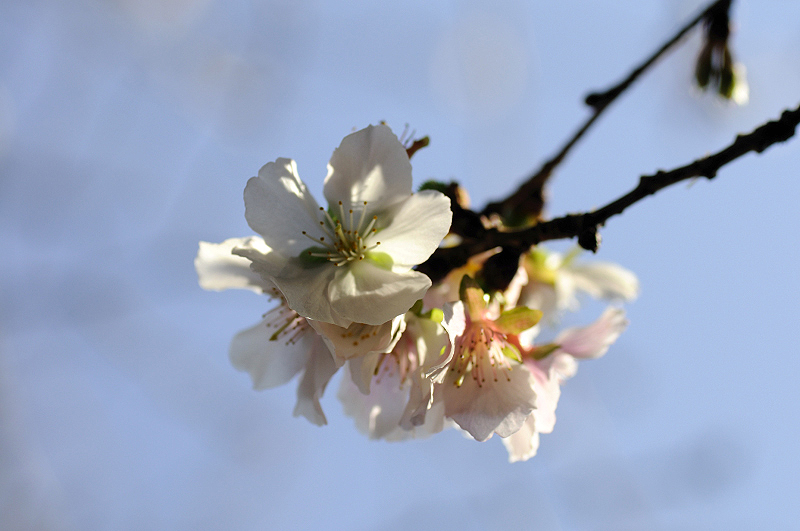 image0254