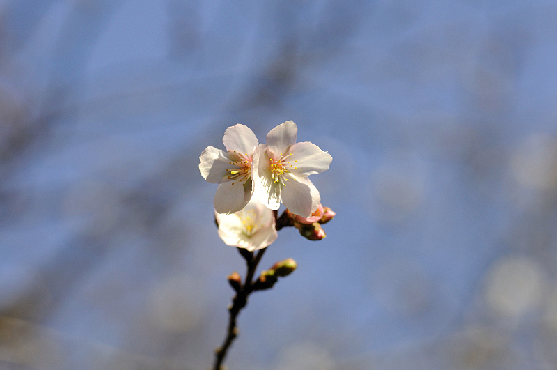 image0255