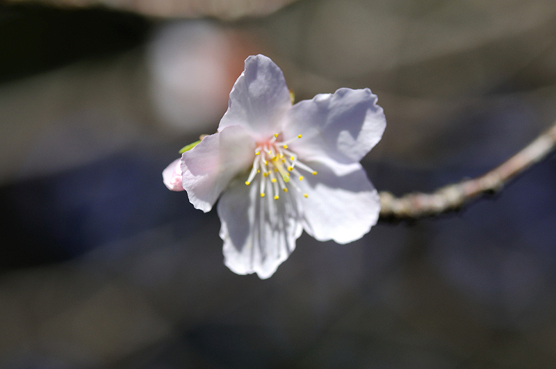 image0257