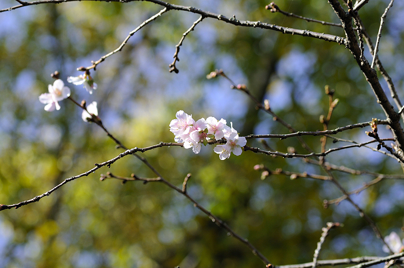 image0258