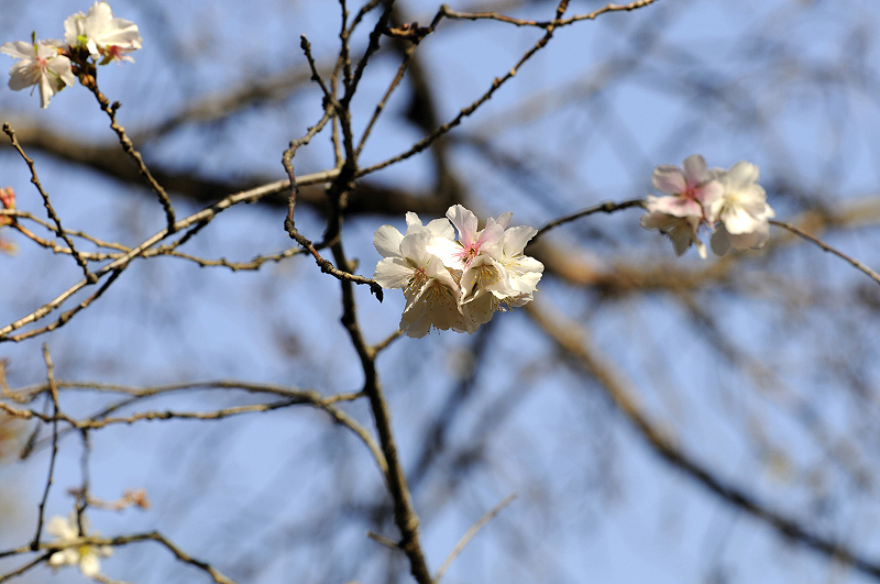 image0260