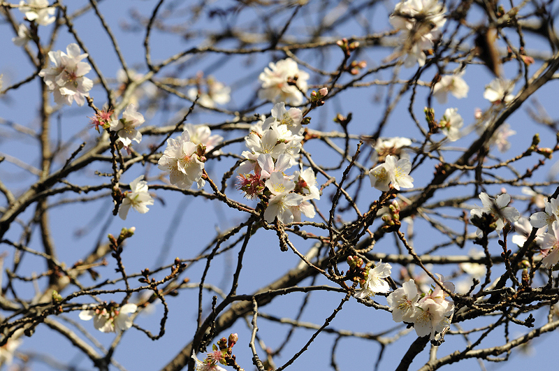 image0261