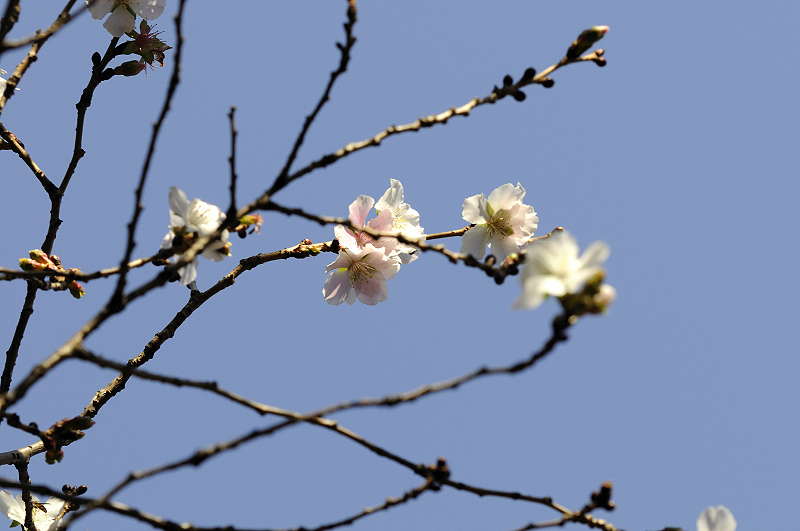 image0266