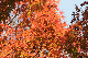 image0132